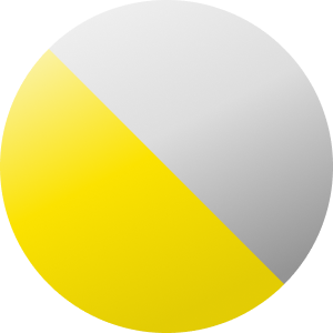 Argenté / noir / jaune